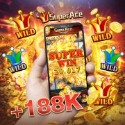 Wildbet com