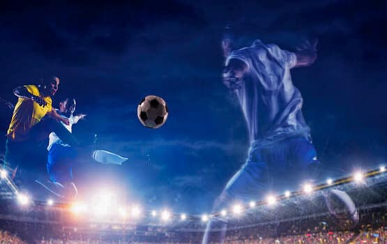Ge palmeiras